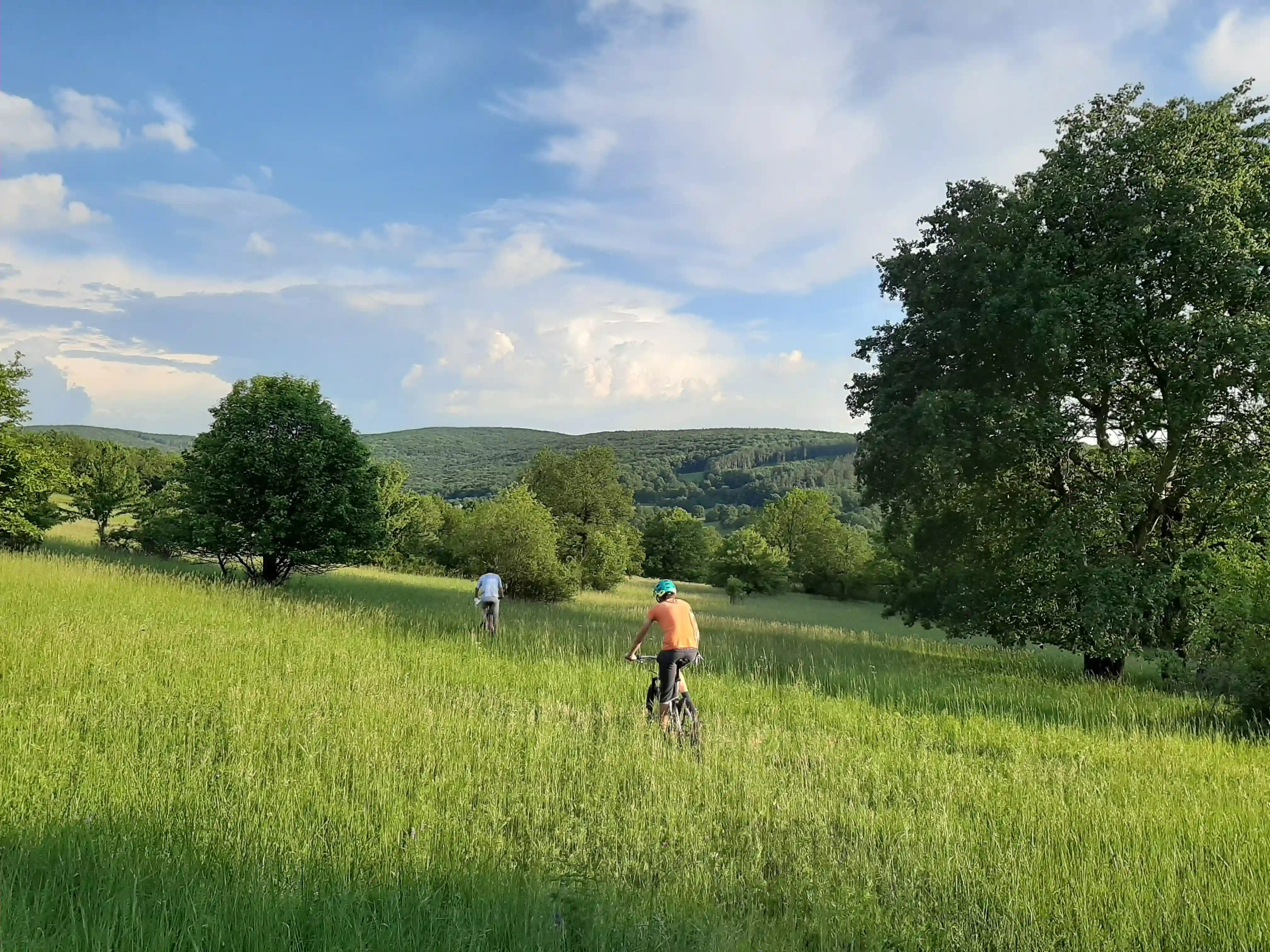 Čertoryje