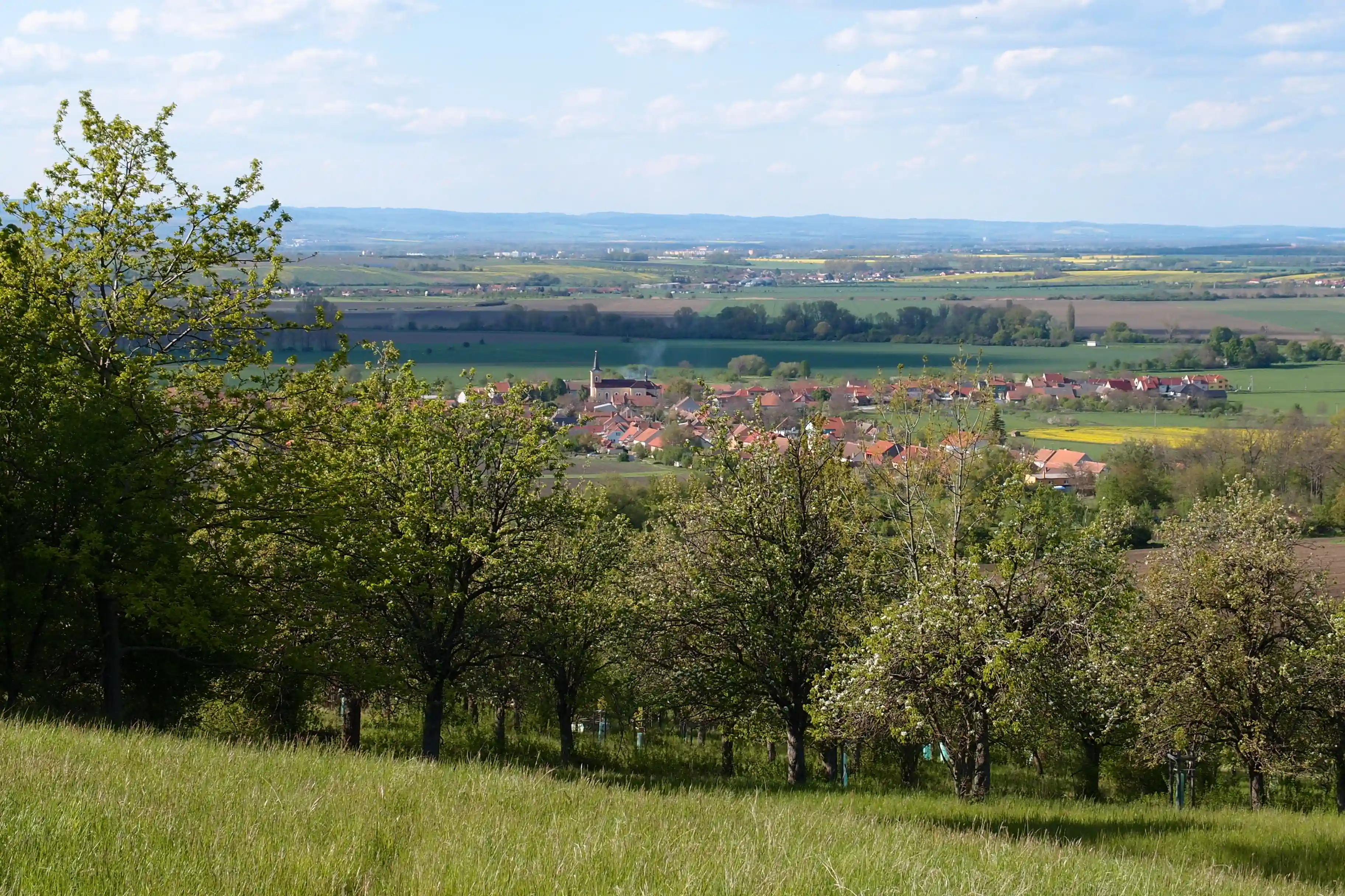 Kněždub