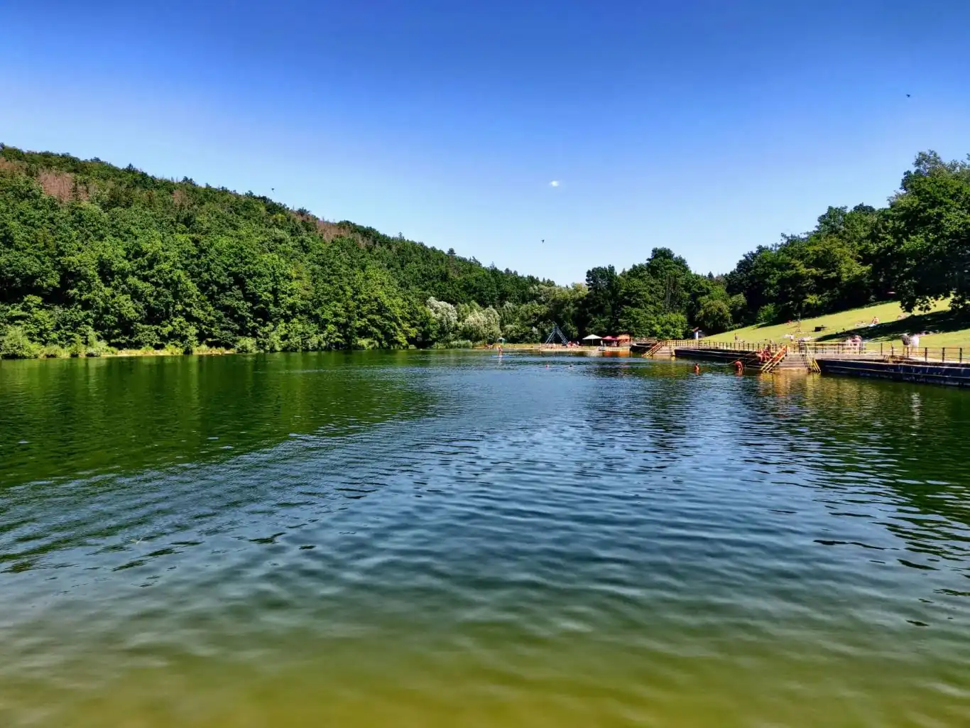 Lučina